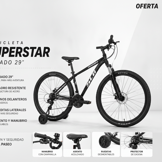 Bicicleta Patagonia Rodado 29