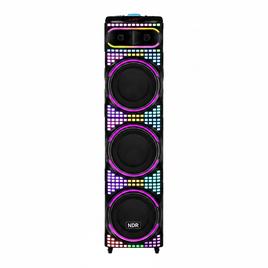 PARLANTE NDR-3260 12" X 3
