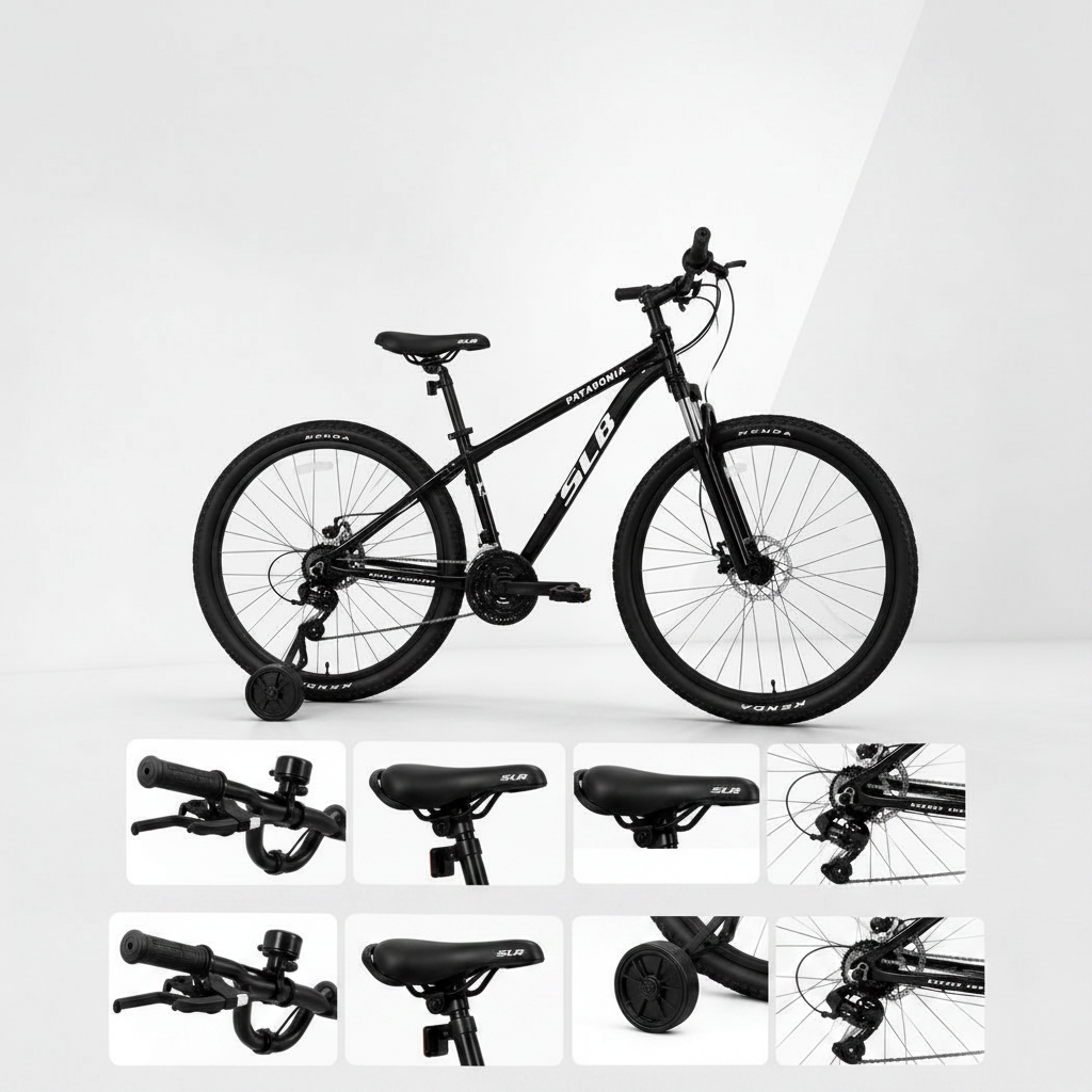 Bicicleta Patagonia Rodado 29