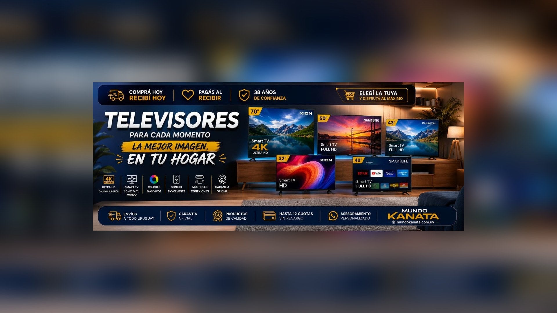 portada 11