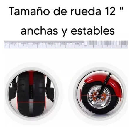 Moto A Bateria Con Con Freno Usb Hasta 30kg Ok-306 Kanata - Imagen 4