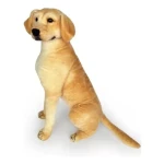 Peluche Labrador Sentado Xq64t Mundo Kanata