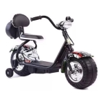 Moto A Bateria Con Con Freno Usb Hasta 30kg Ok-306 Kanata