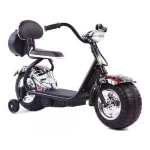 Moto A Bateria Con Con Freno Usb Hasta 30kg Ok-306 Kanata